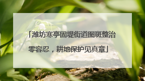 潍坊寒亭固堤街道图斑整治零容忍，耕地保护见真章